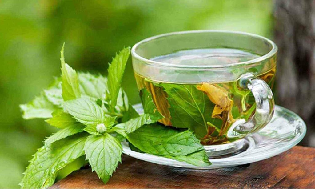 الشاي الأخضر واحد من مشروبات قبل النوم لتخفيف الوزن